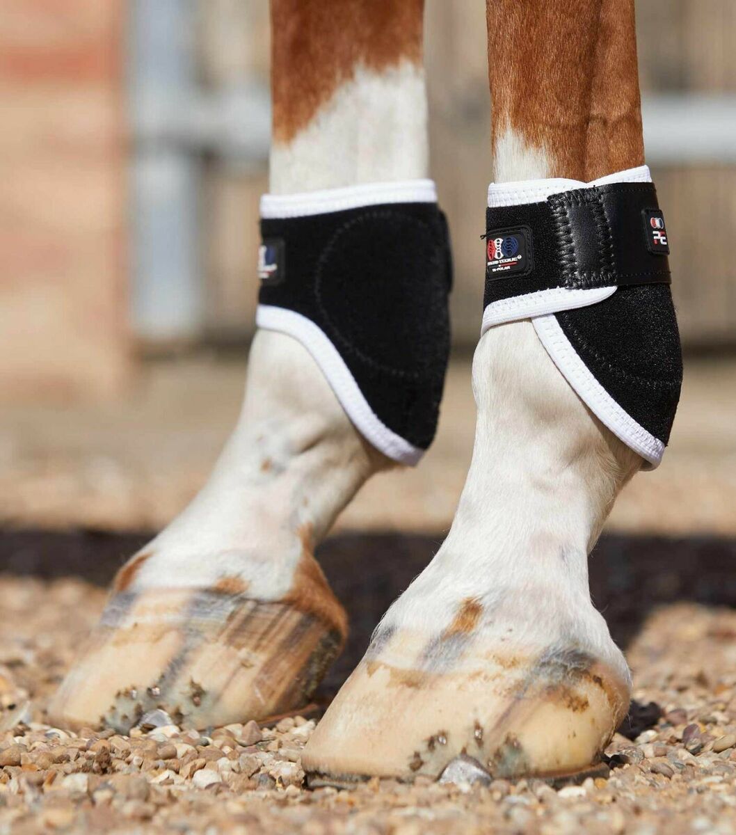 Premier Equine Magni-teque fetlock boots