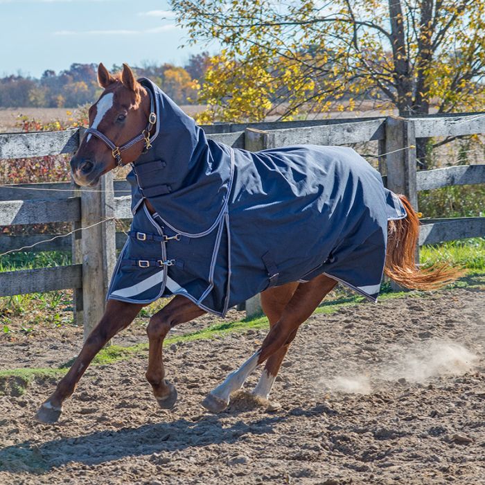 Canadian Horseware Maxim Storm 160g full neck rug