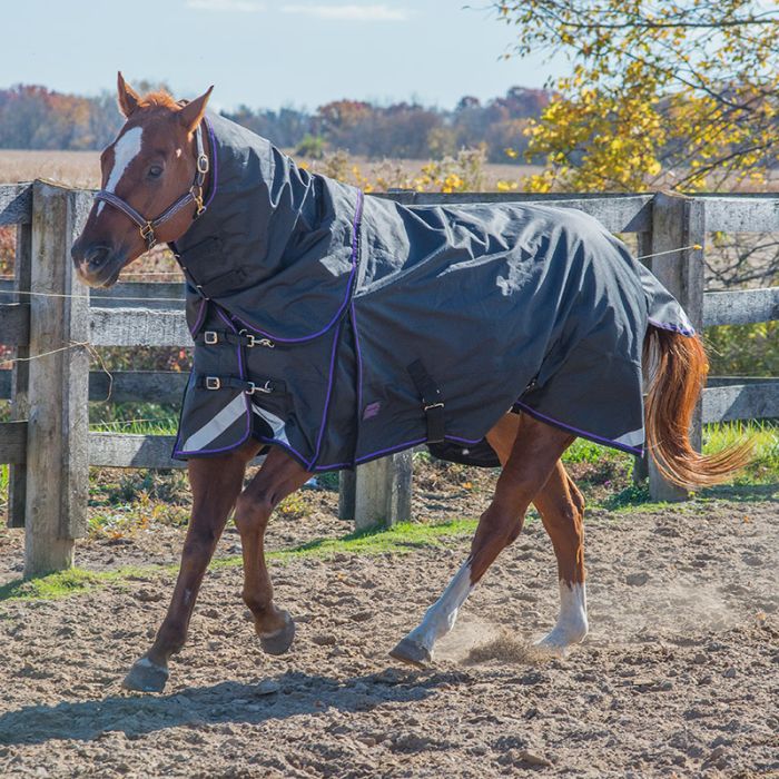 Canadian Horseware Maxim Storm 160g full neck rug