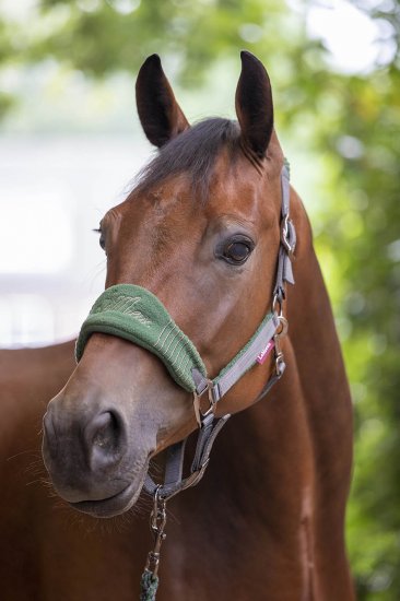 LeMieux Vogue fleece headcollar & rope