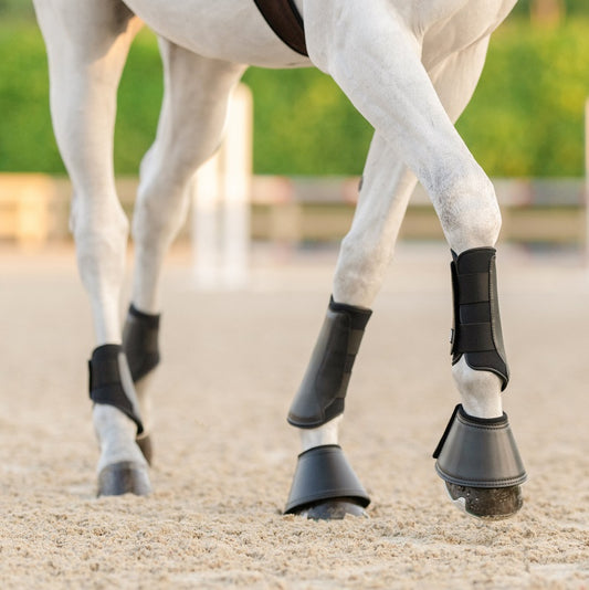 Equifit Everyday essential front boots