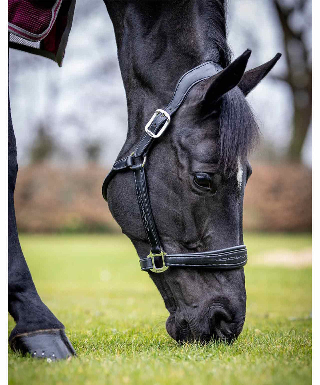 LeMieux stitched leather headcollar