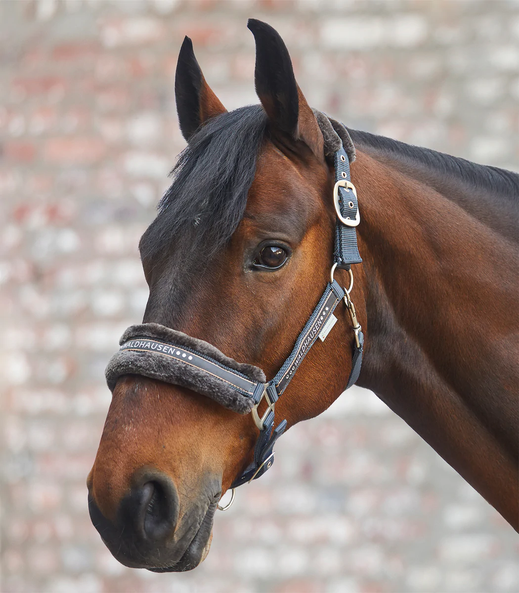 Waldhausen Elegant halter