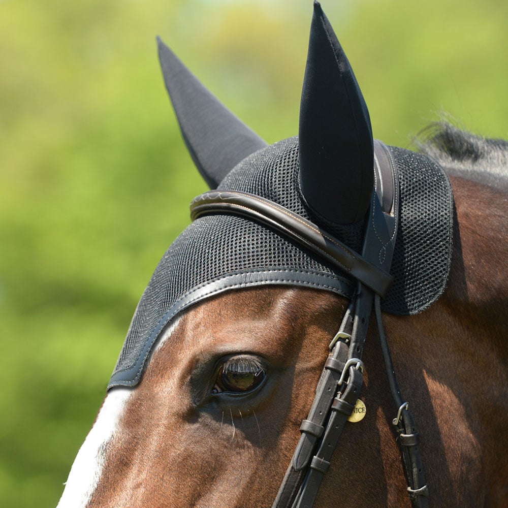 Equifit ear bonnet