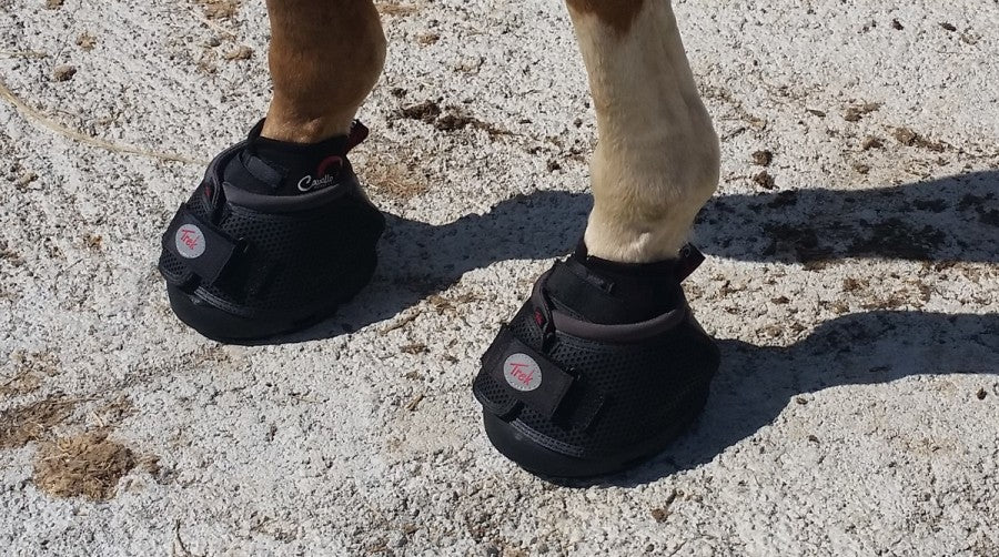 Cavallo Trek boots